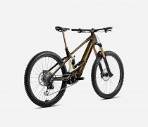 Orbea Wild M-LTD 2025