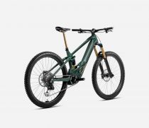 Orbea Wild M-LTD 2025