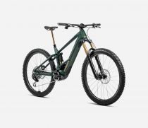 Orbea Wild M-LTD 2025